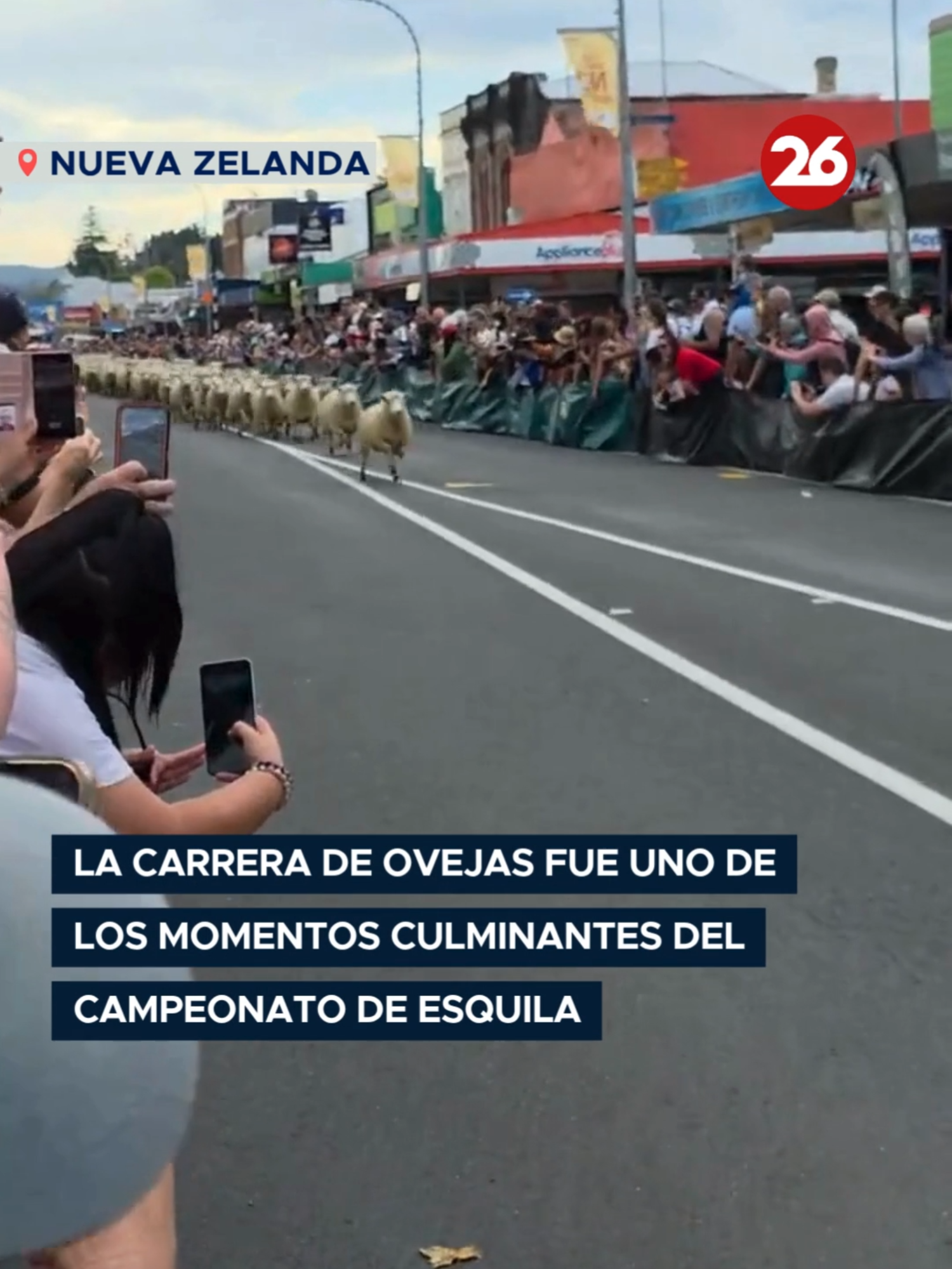 @Canal 26