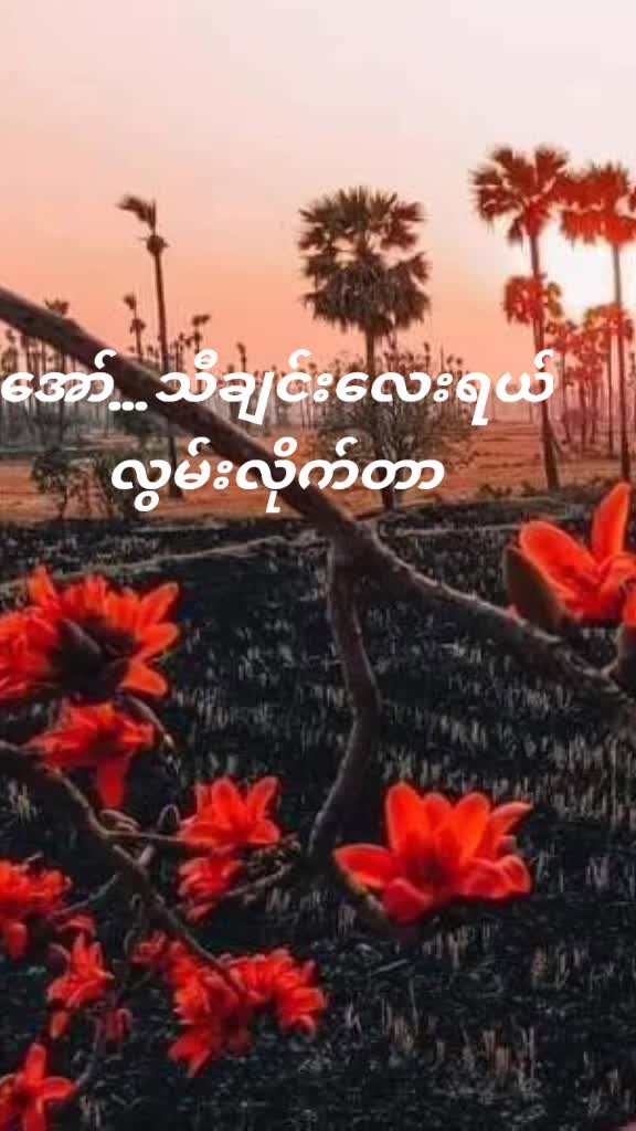 @đ Shm Suu đ