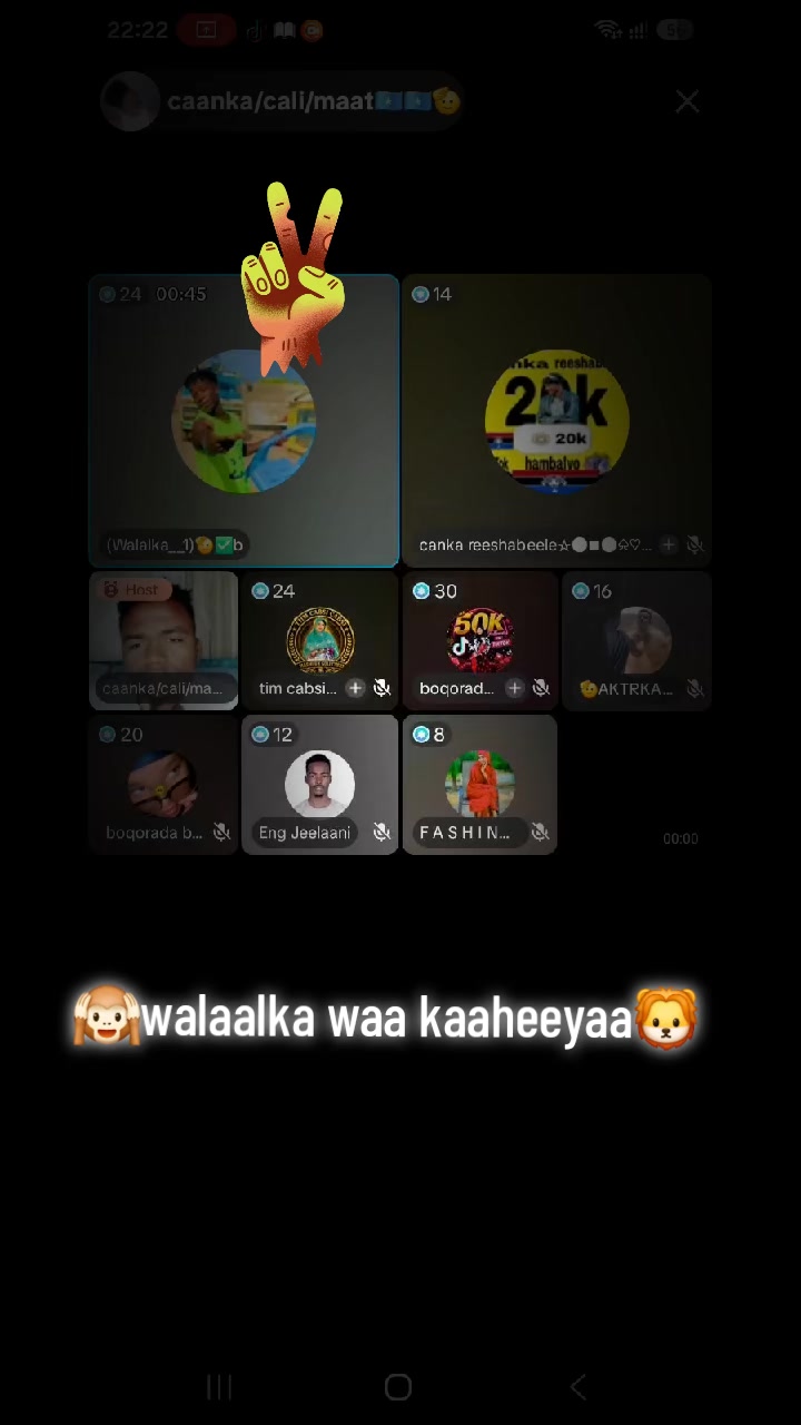 @WEER🦁🦁🦨🦨