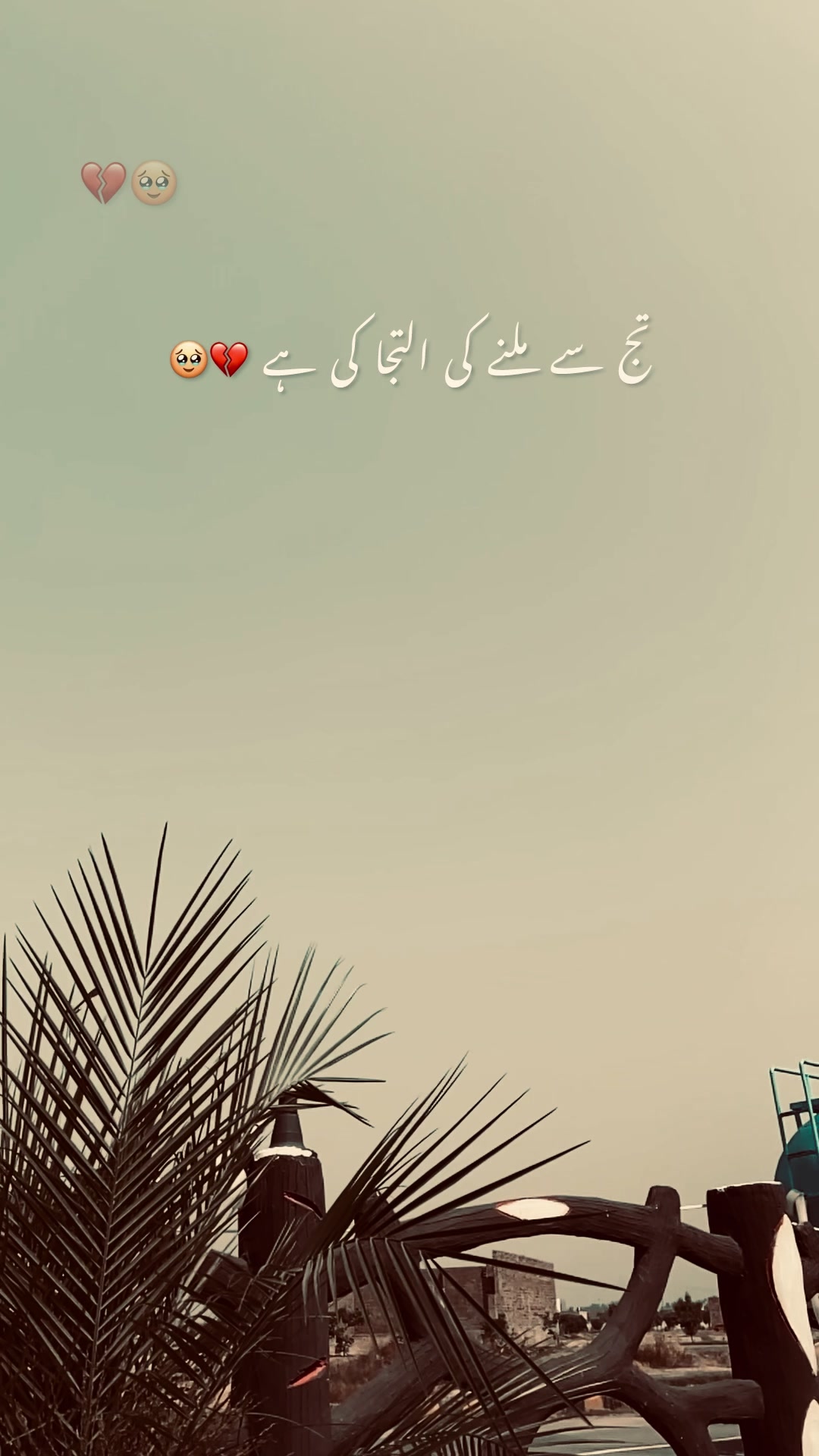 @ch.usمan.471🍁
