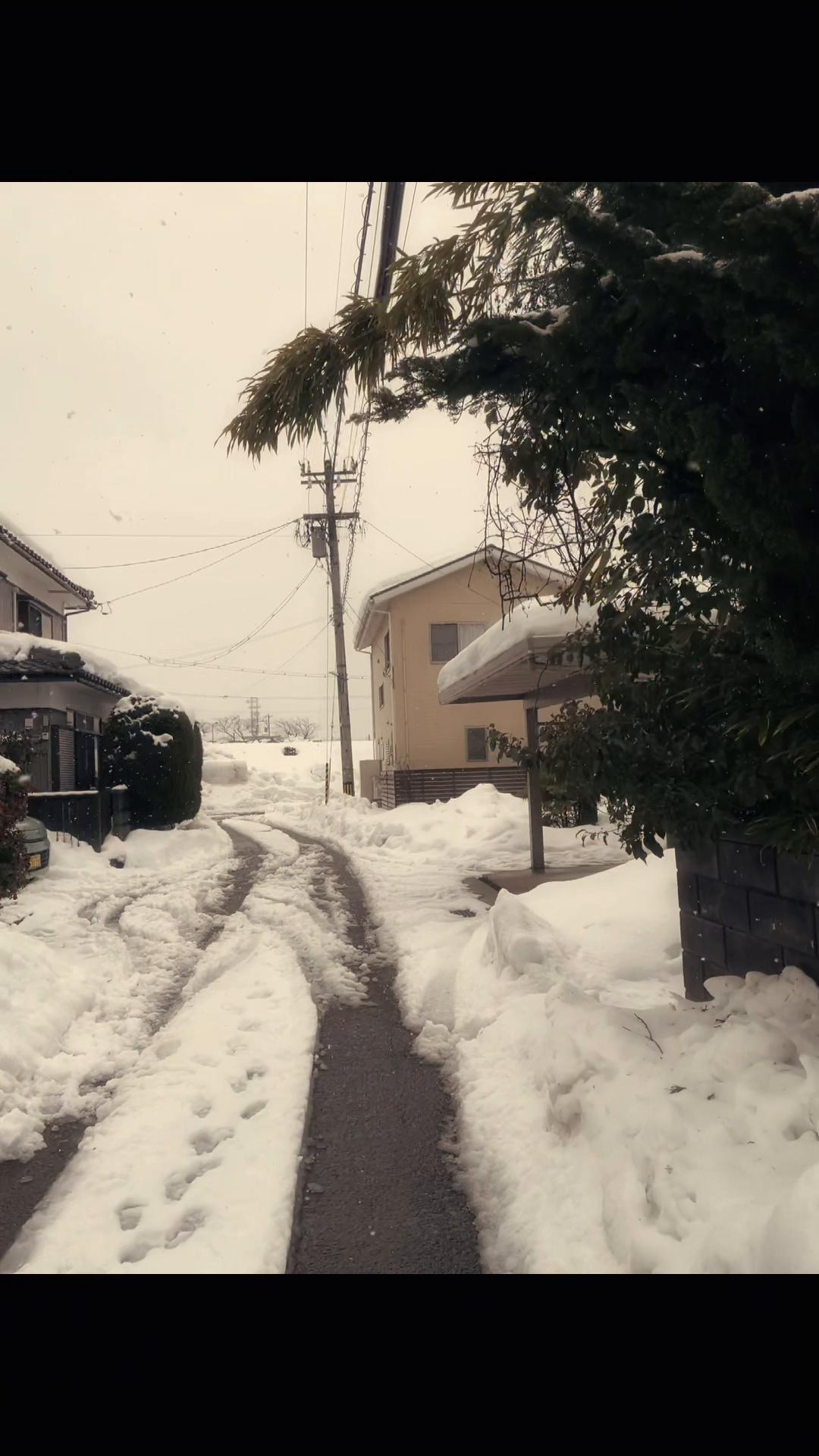 @Hayami.(稀美)