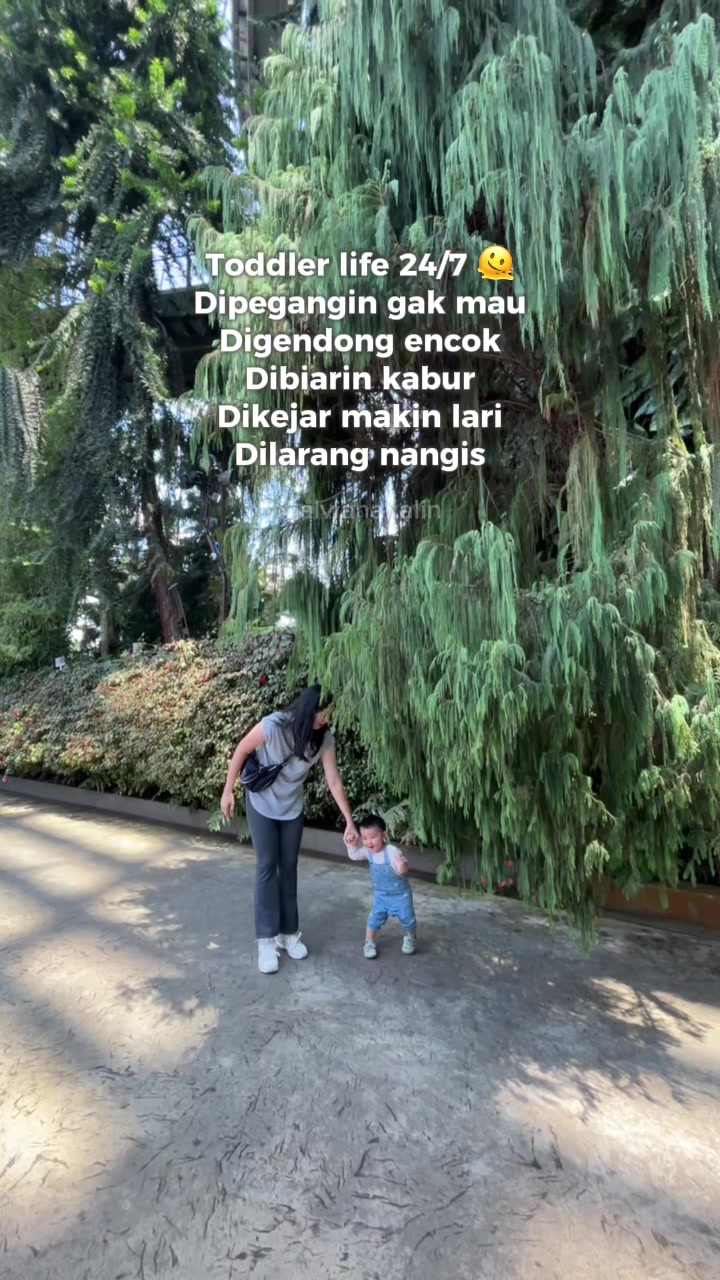 @Alviana Kalin