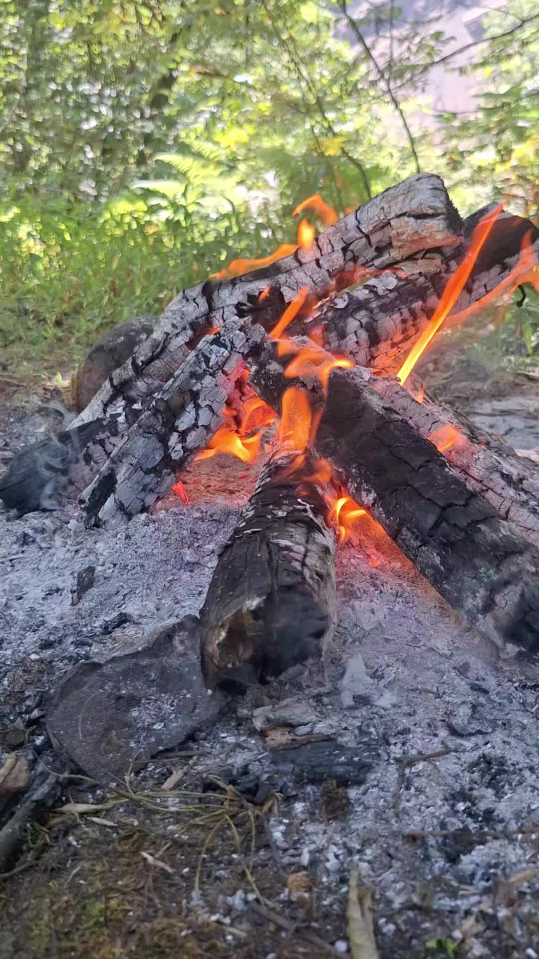 @wirin_qız🧚♀️😌
