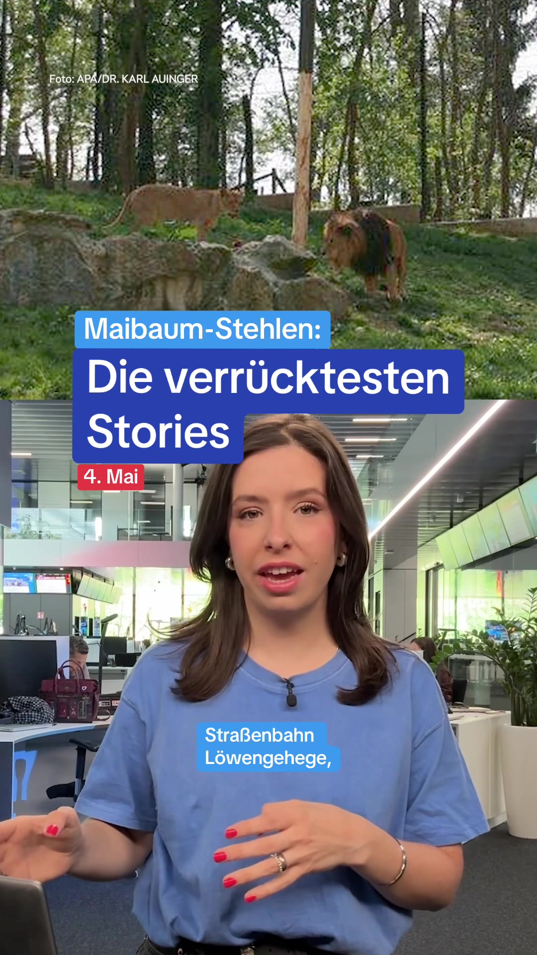 @Zeit im Bild - ZIB