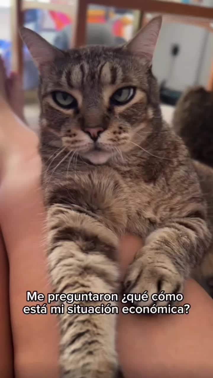 @luabro