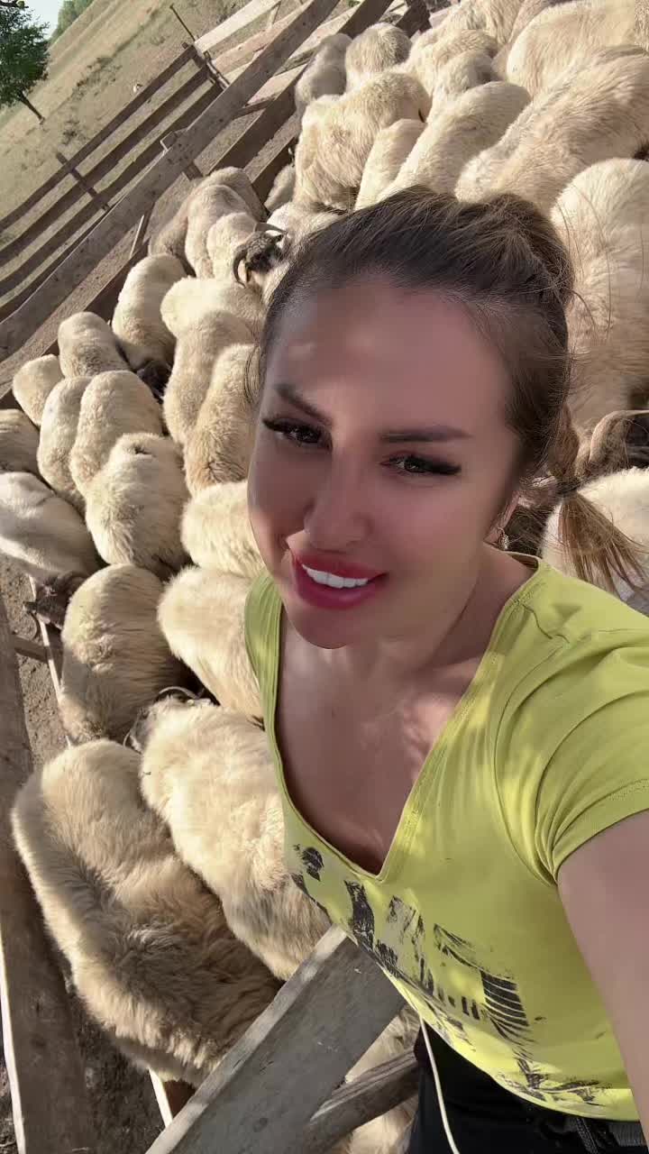 @Dana Czm