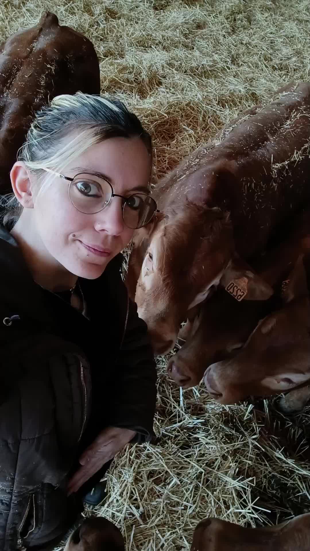 @Ludivine 🐶🐮
