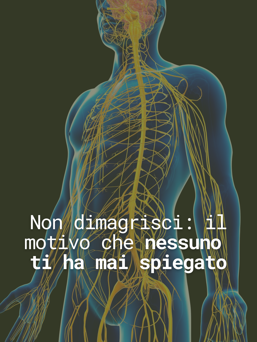 @elenabazzoli.doc