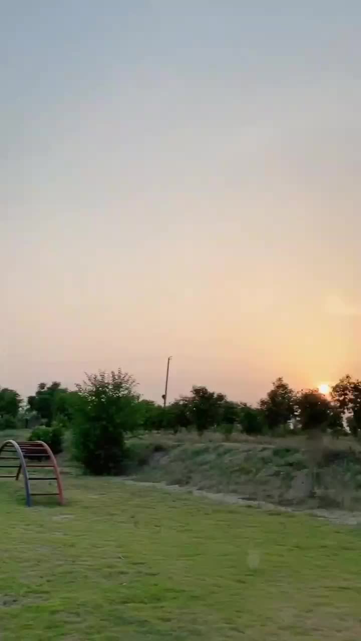 @aimamalik