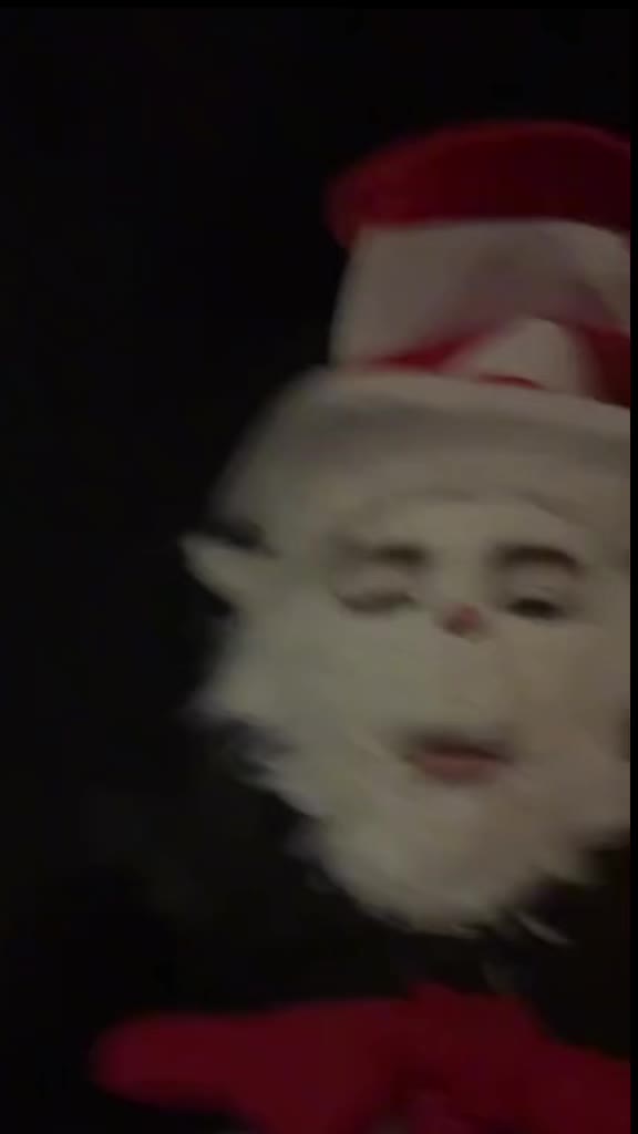 @THE REAL CAT IN THE HAT