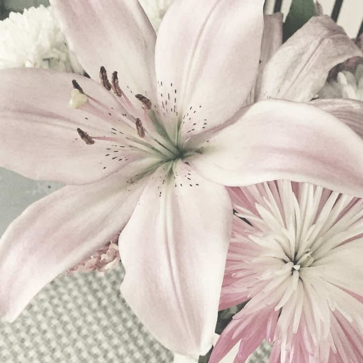 @꒰꒰𓈒 ֔✿ 𓐇˚𓈒