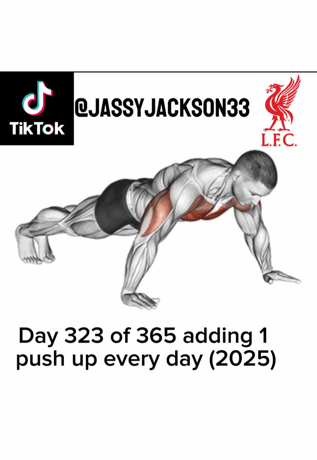 @JassyJackson33