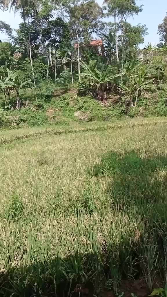 @koswara20@#