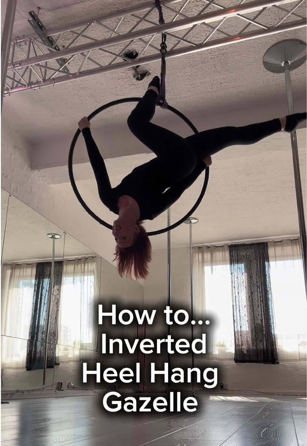 @MichelleT AerialHoop