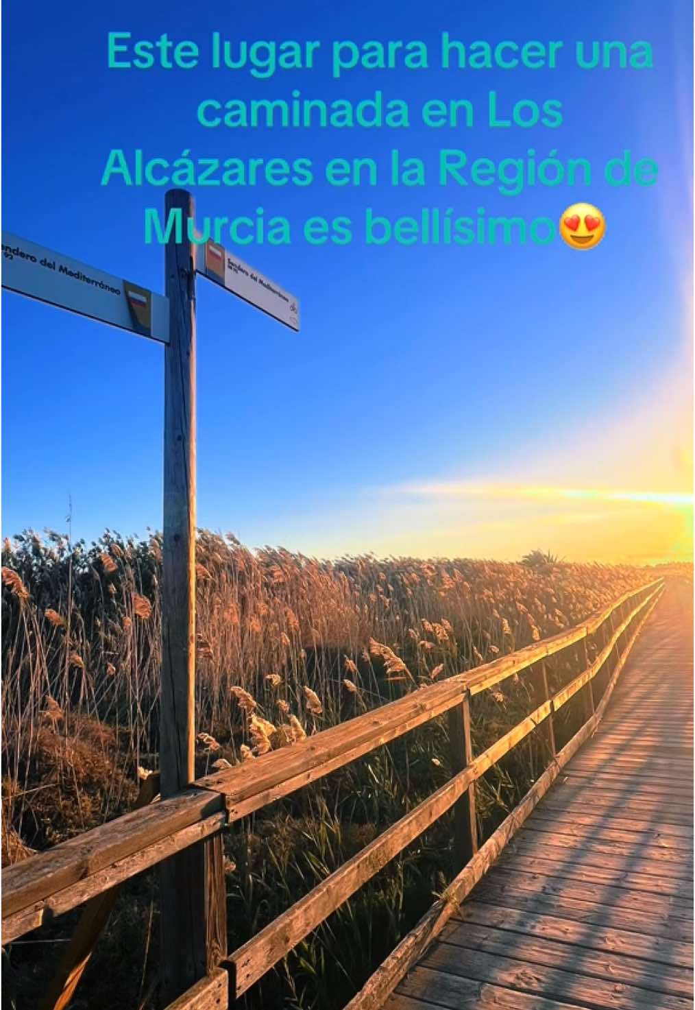 @maroci_b