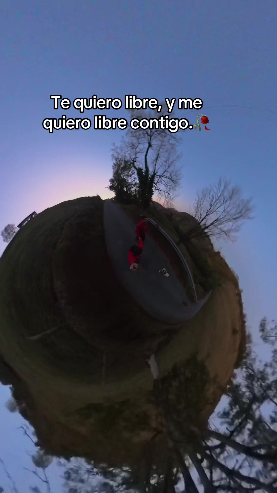 @Ionela