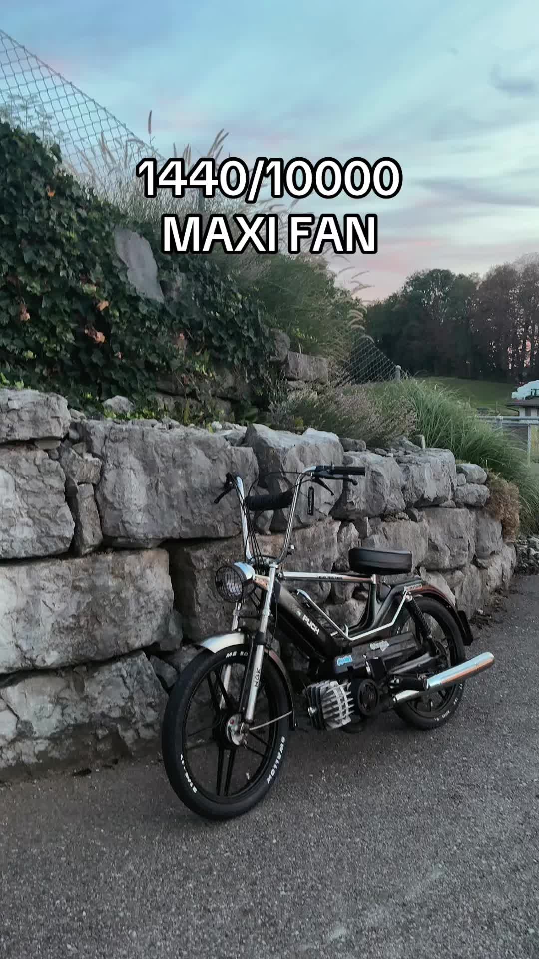 @Black_Puch_swiss