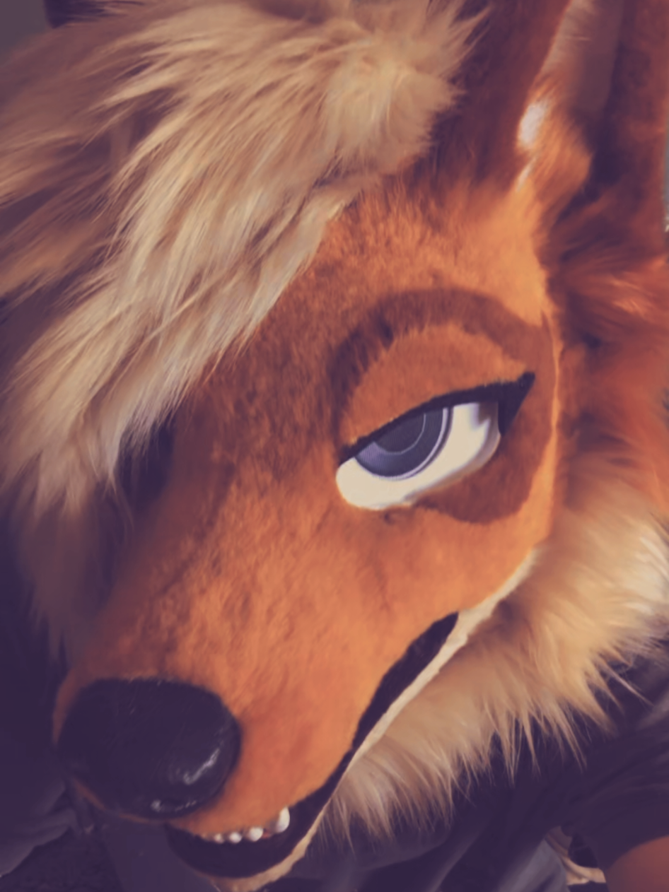 @Fen
