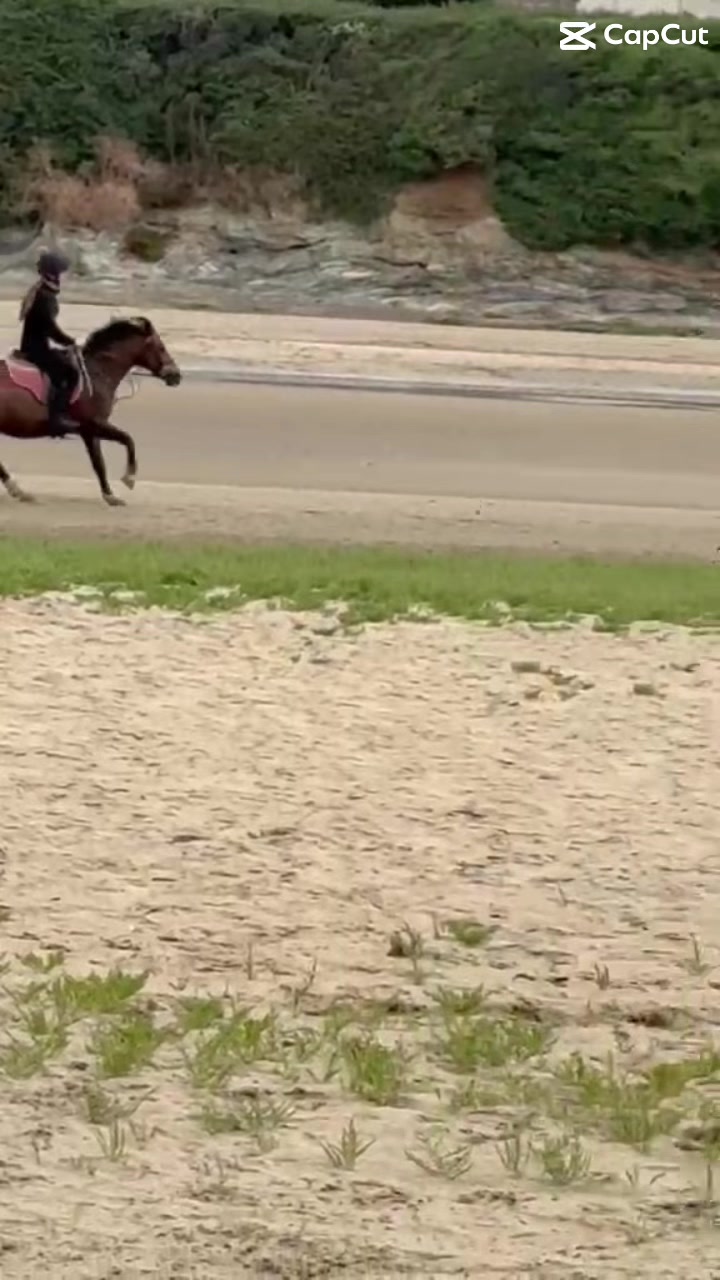 @poppy 🌾🐴 🇬🇧