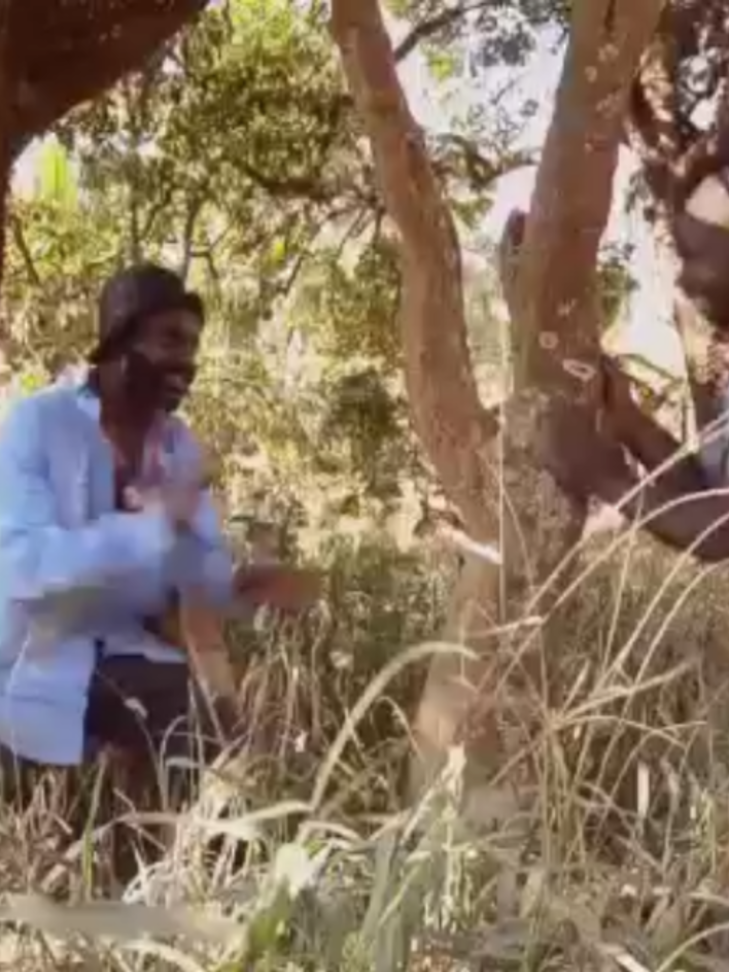 @๐๐โโ๐๐๐โ๐พ