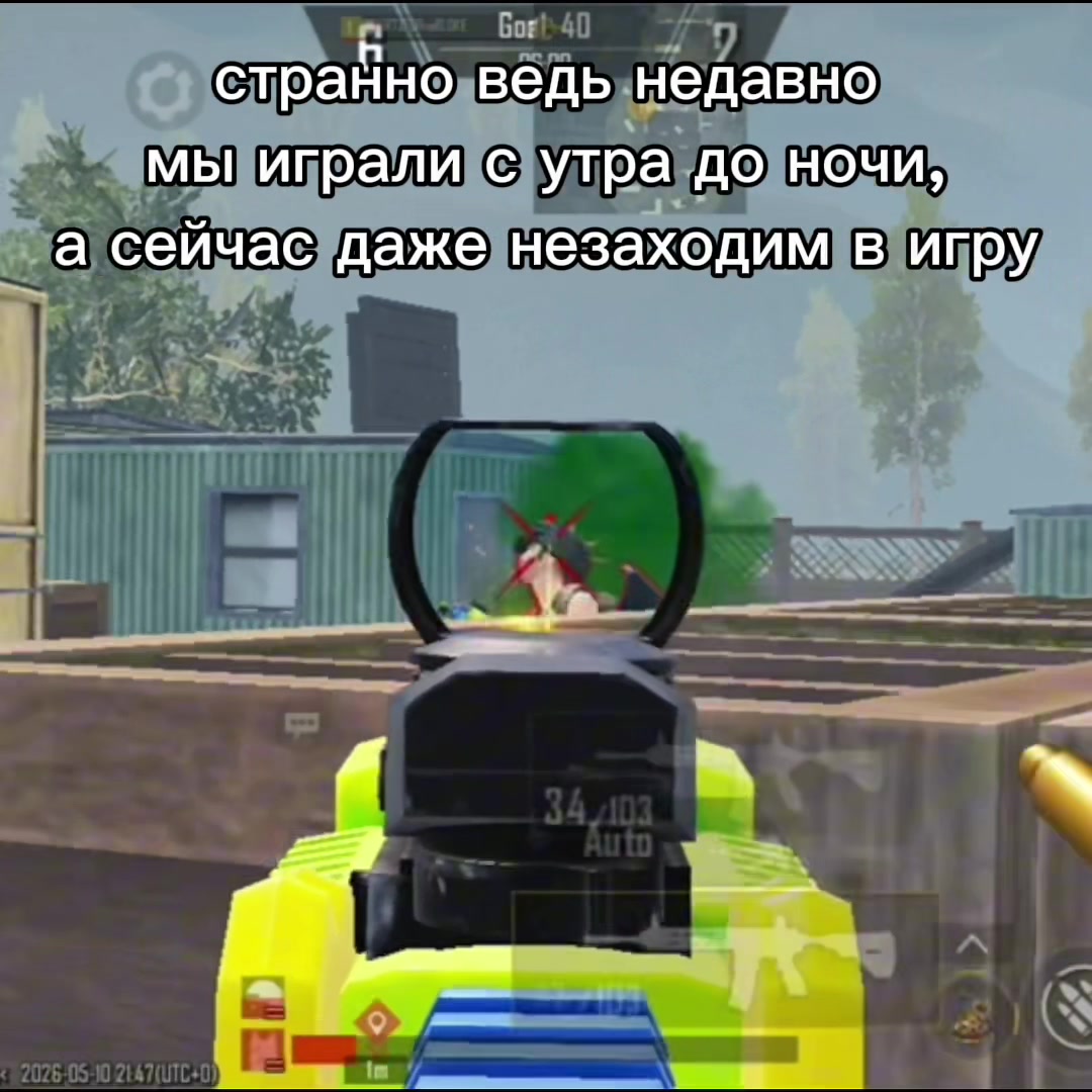 @тгк: я кабан
