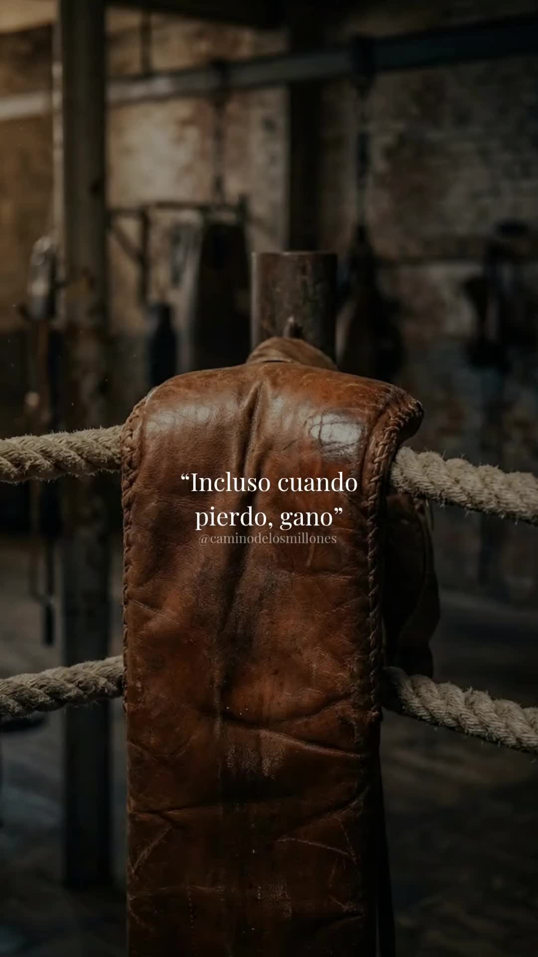 @caminodelosmillones