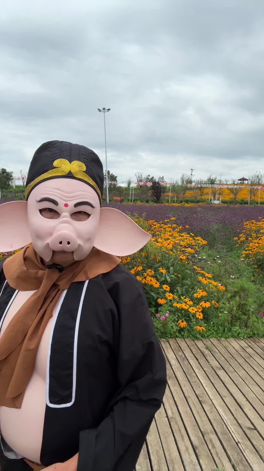 @Journey to the West Pigsy