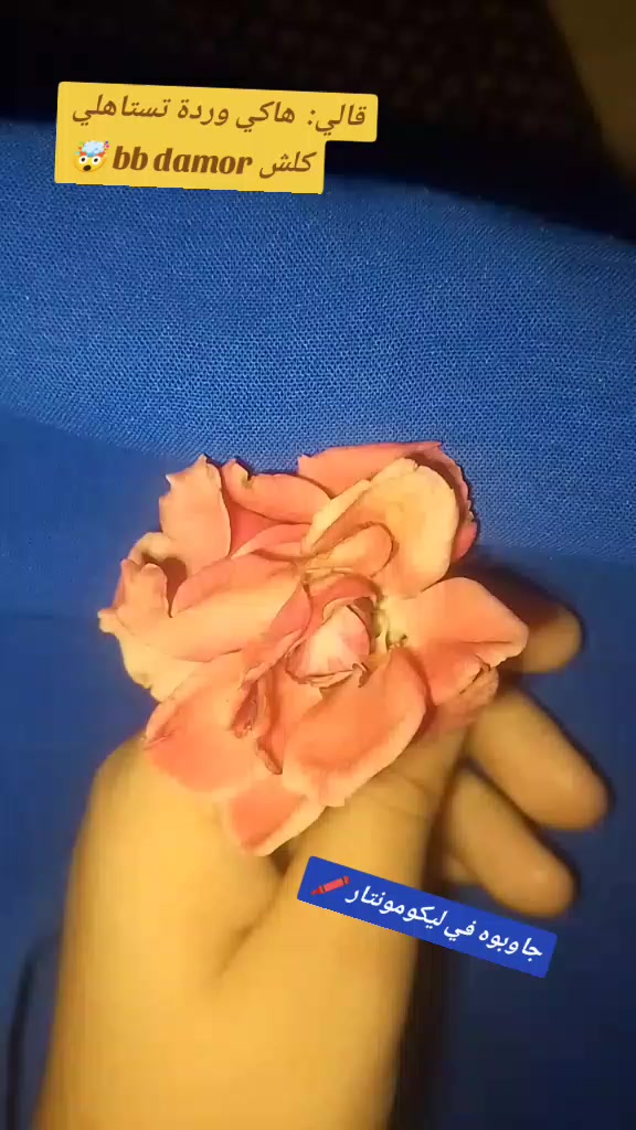 @🦋 Le 💞 R✨💓