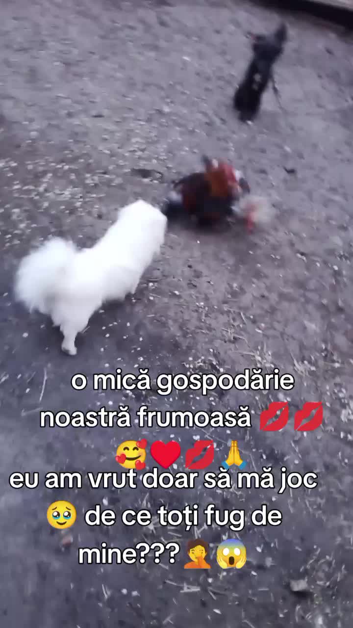 @Jacky_TikTok