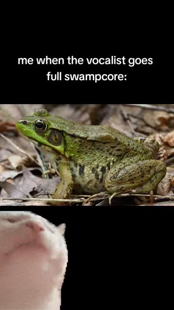 @man.of.squeal