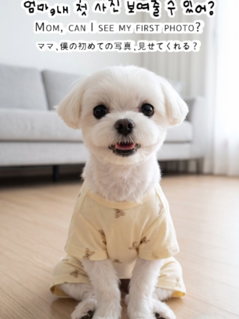 @냠냠왕국