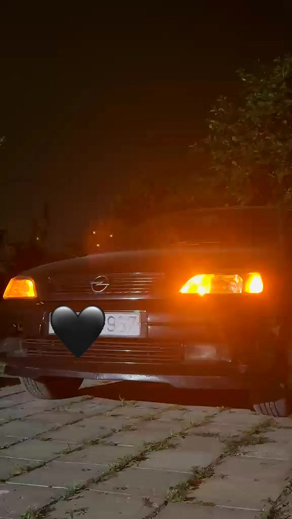@967🖤🐊