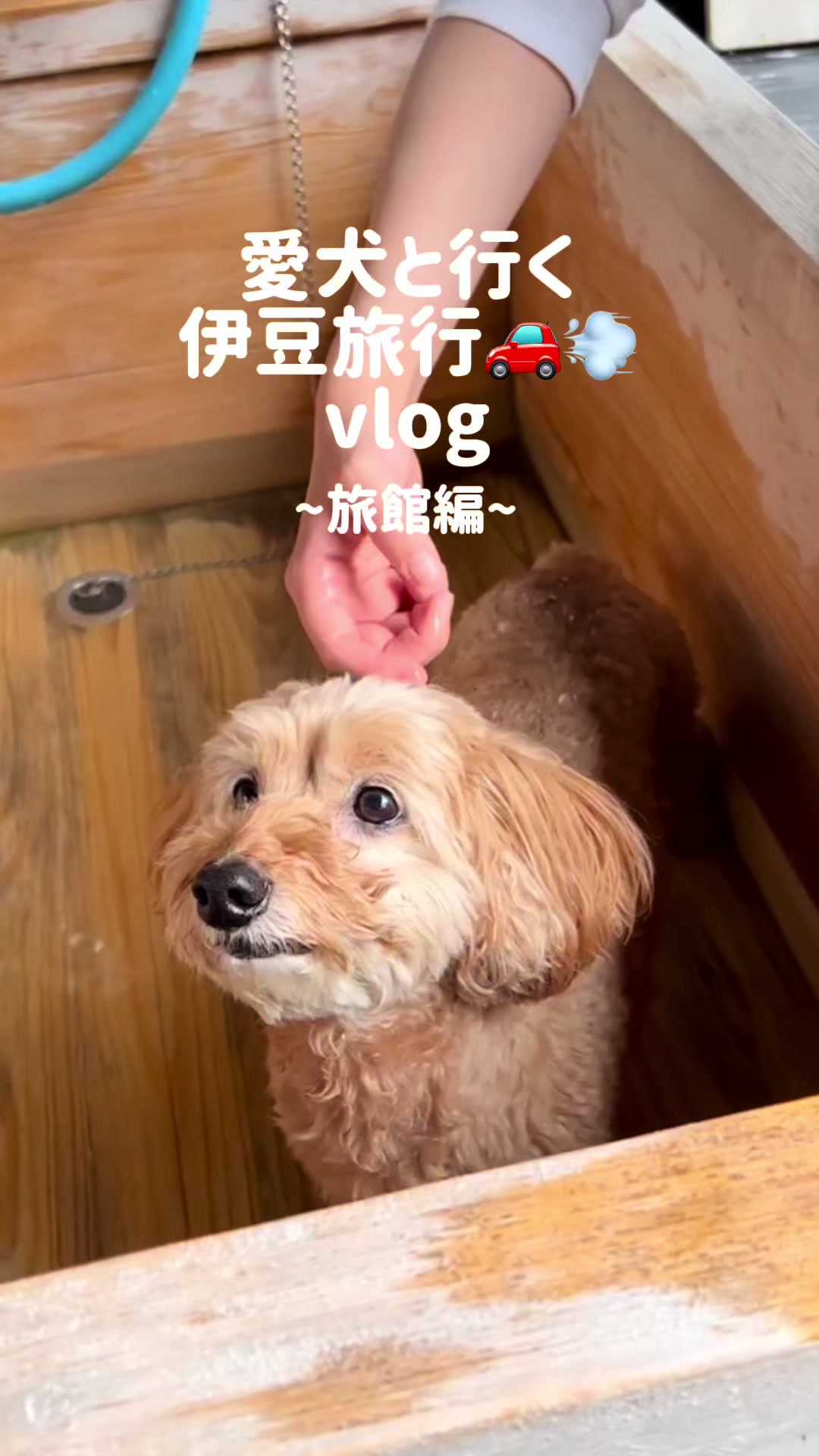 @kokolog / ココログ