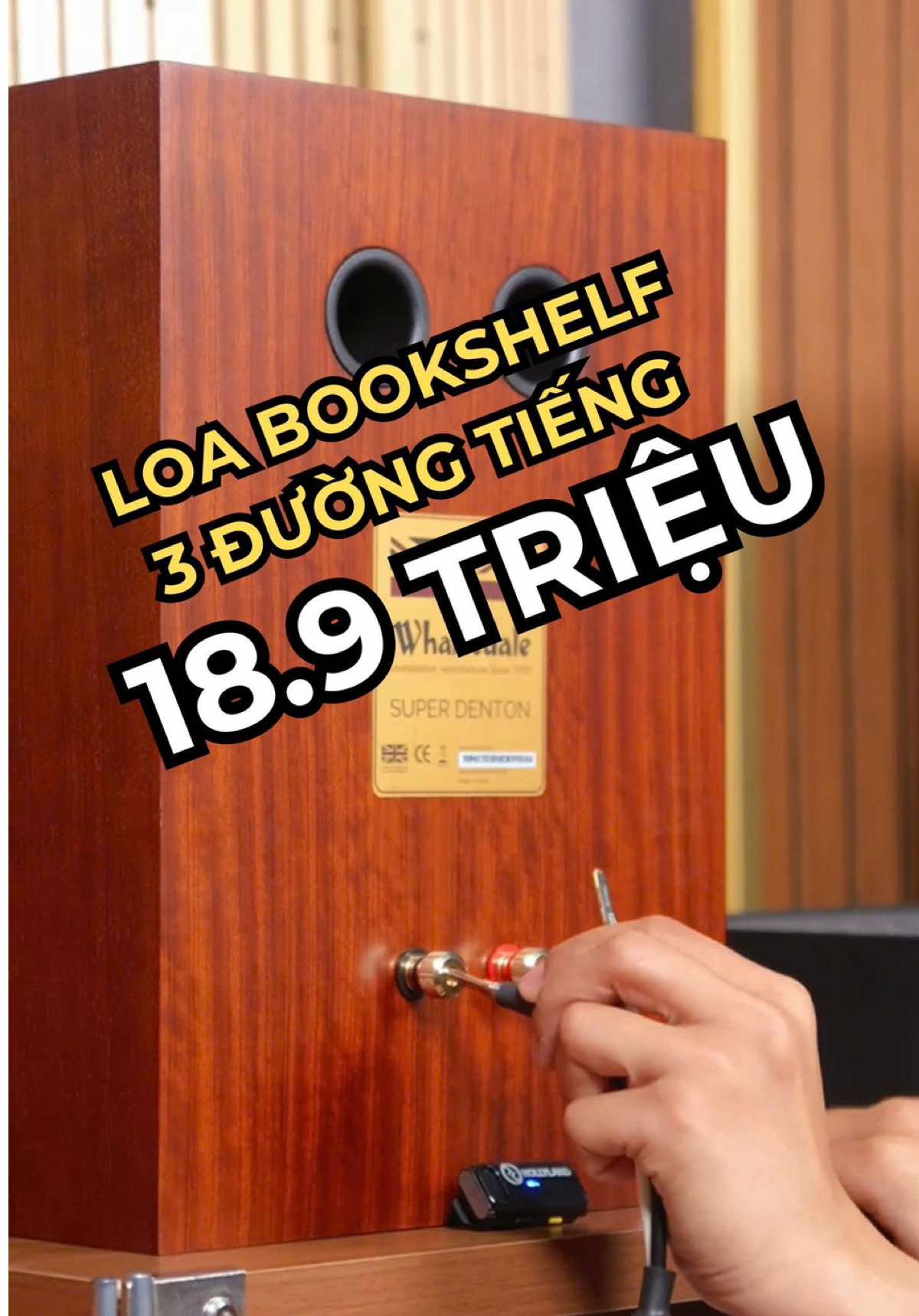 @D&aacute;t V&agrave;ng M&agrave;ng Nhĩ 🎼