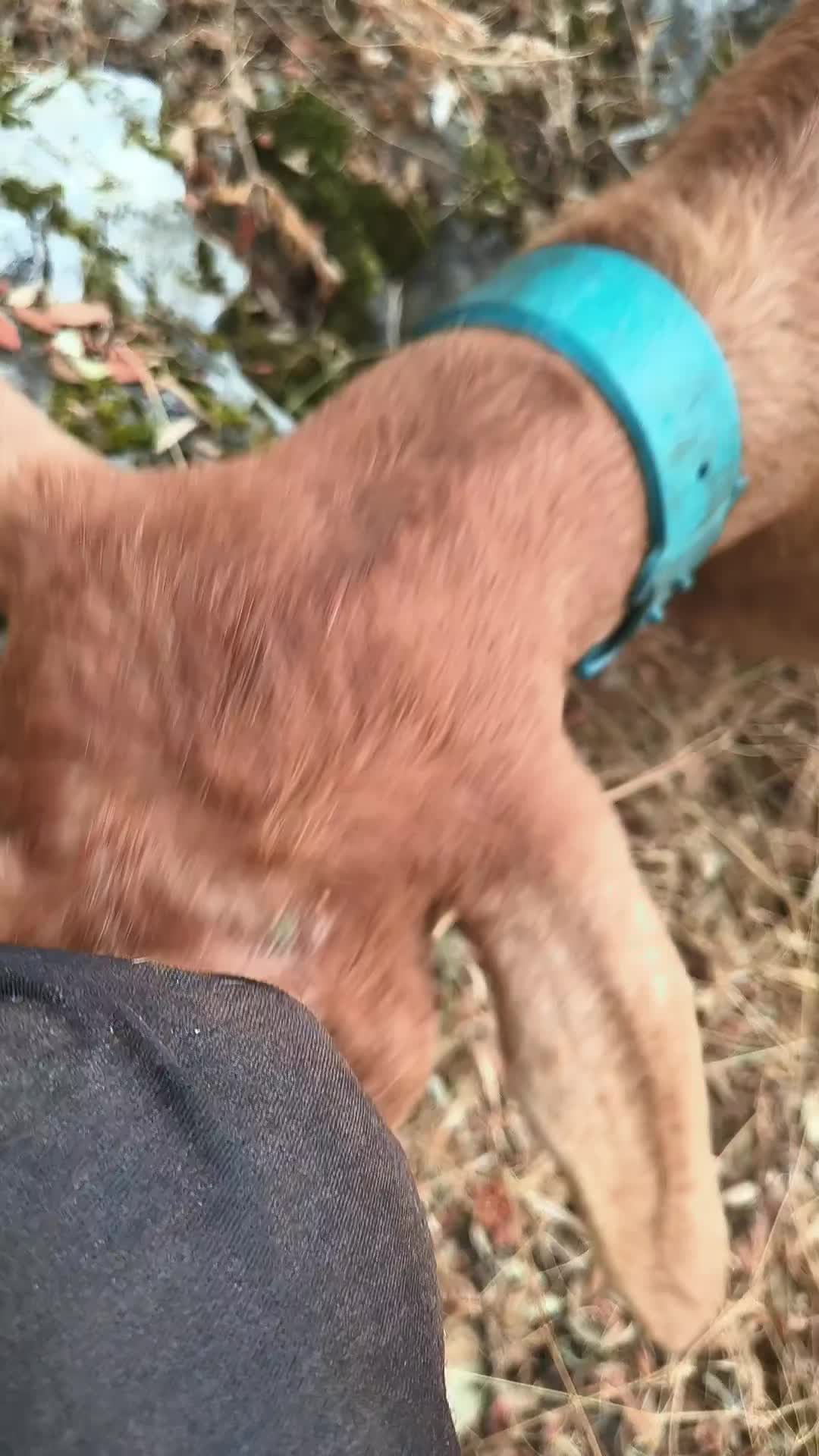 @juan.AKAB.ElCabrero