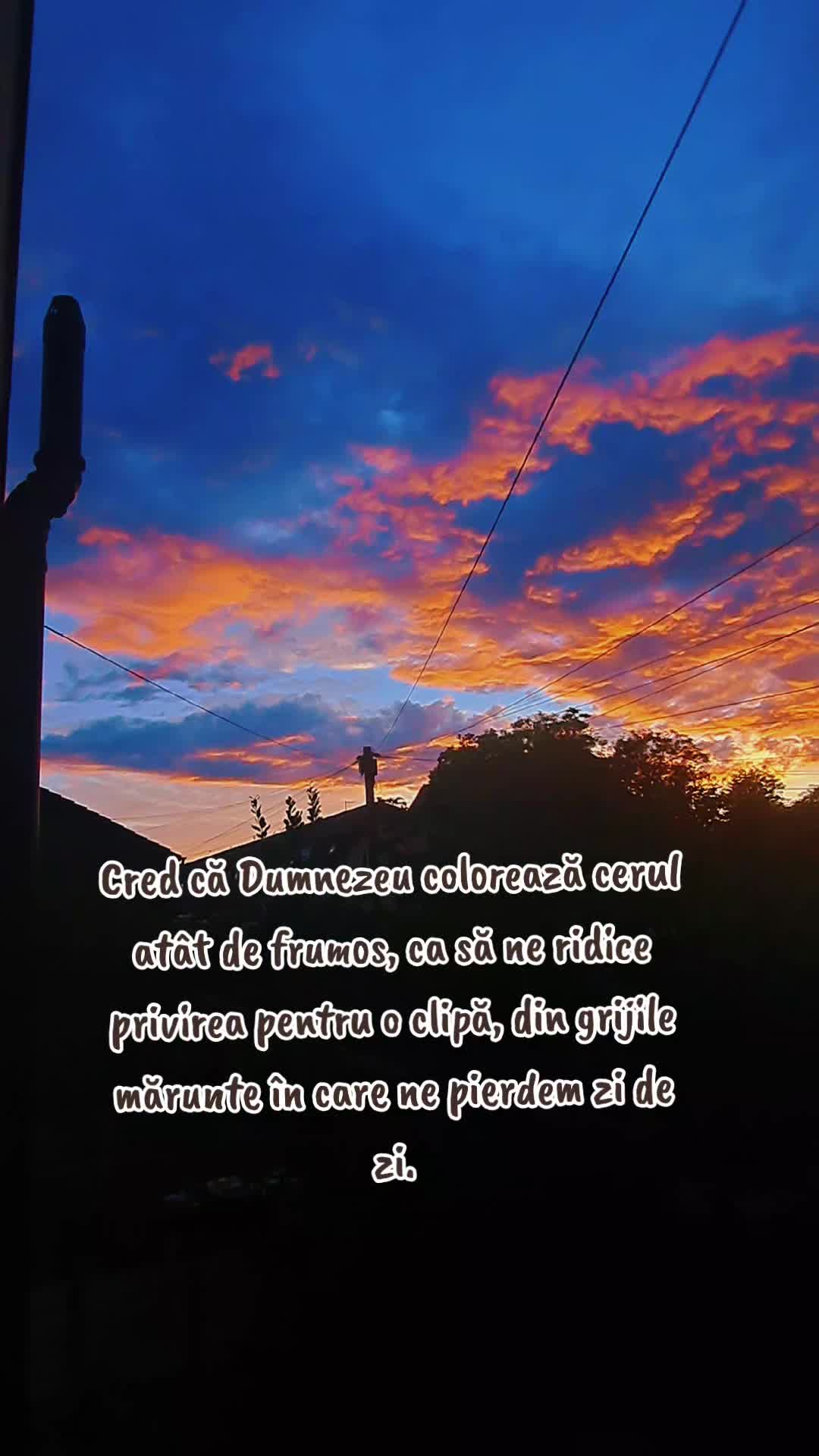 @🩵💙Cristina🦋🤎🌹💙🩵