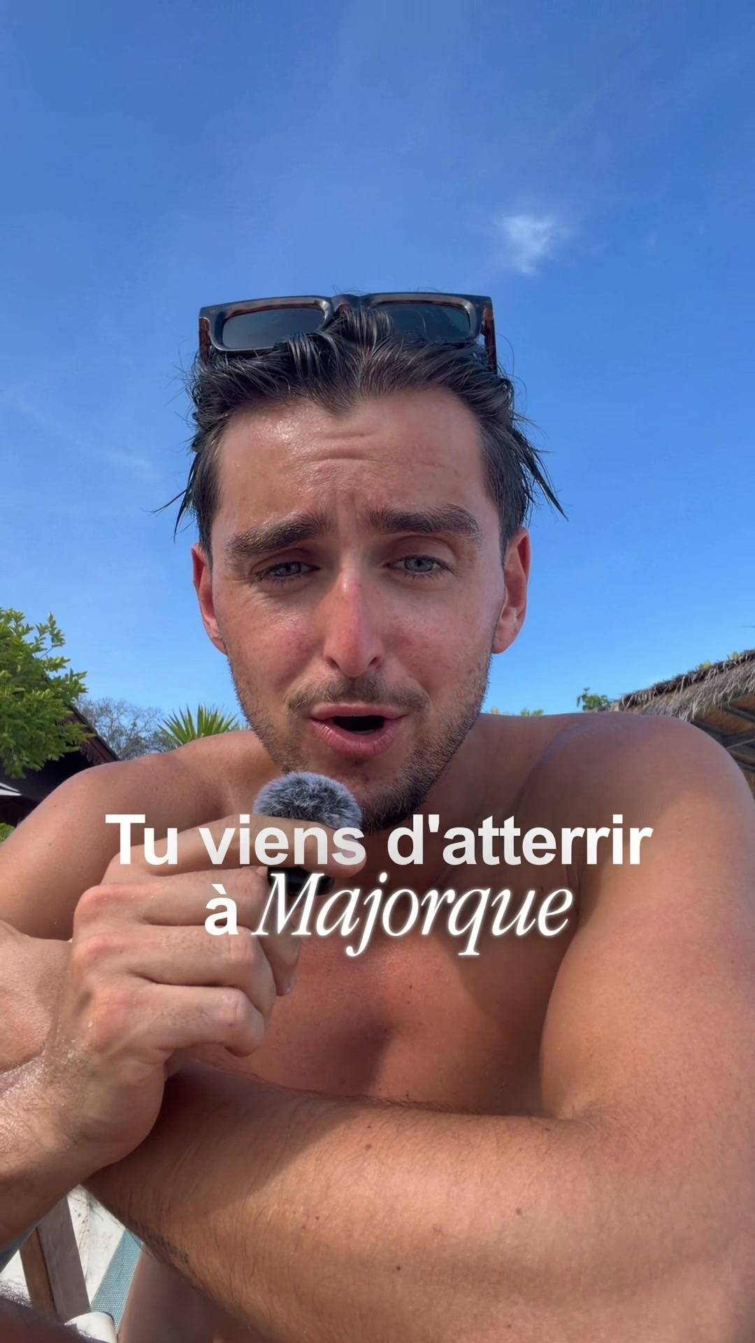 @Willi Mallorca Promoteur