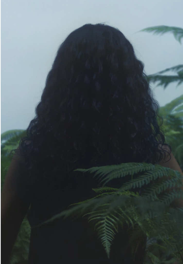 @Aesop