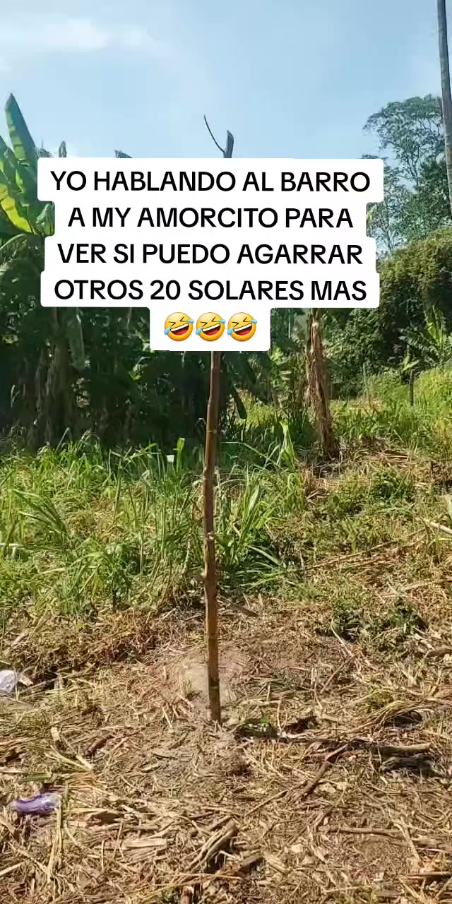@CRISPITA 🦁🦁🦁🦁