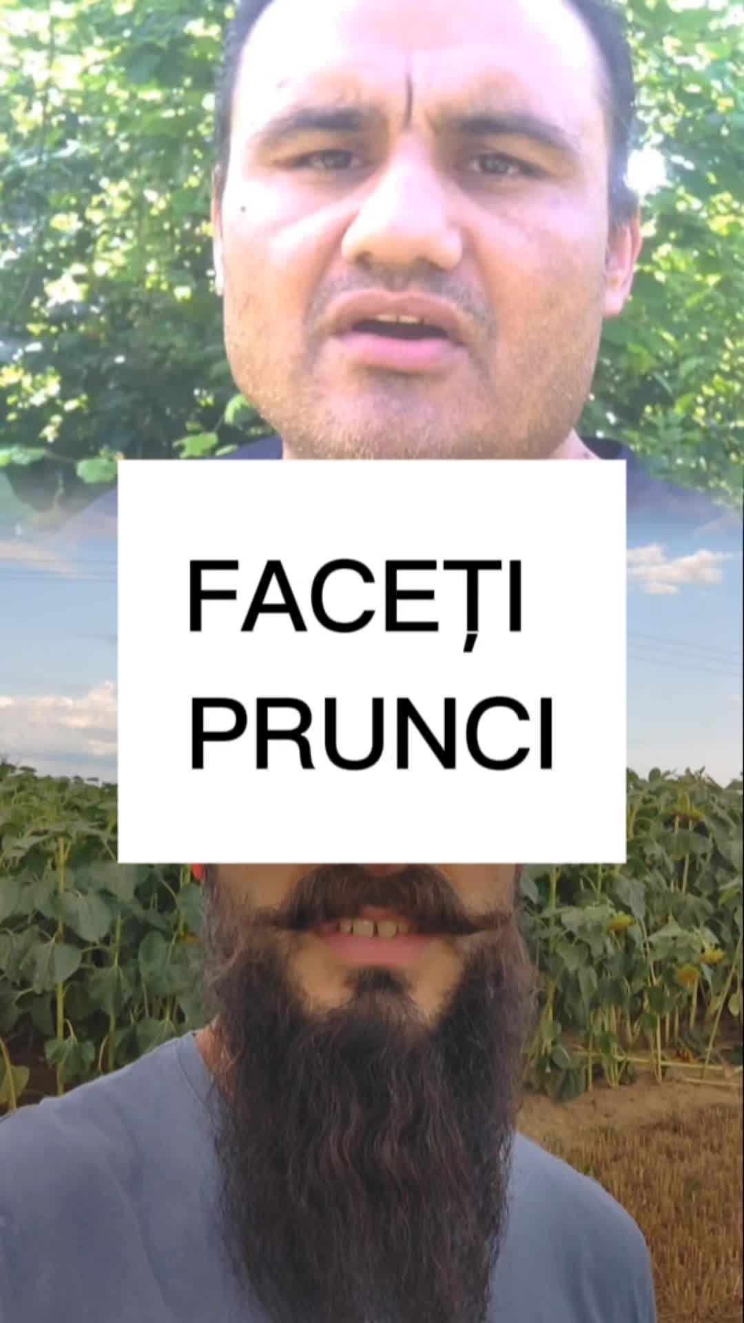 @Năzb&icirc;tii Teologice