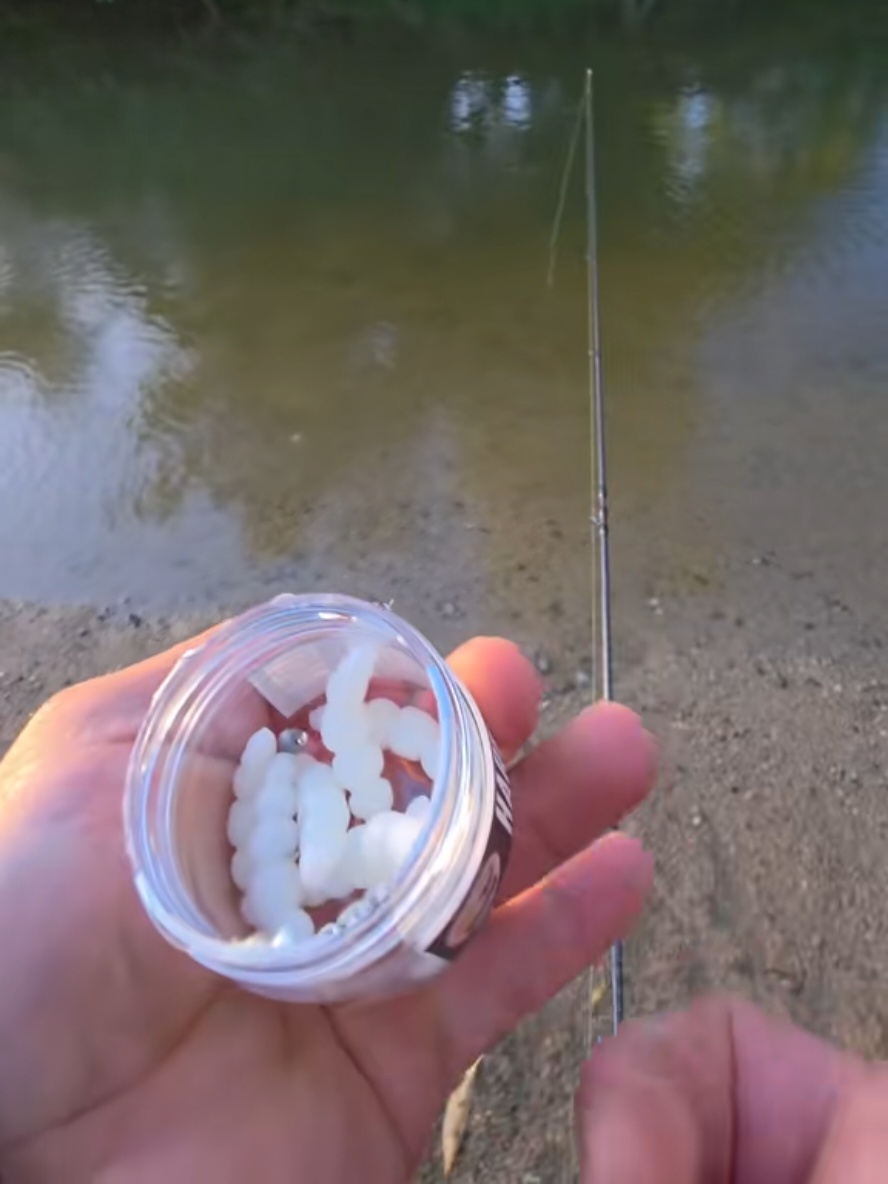 @BF Angler