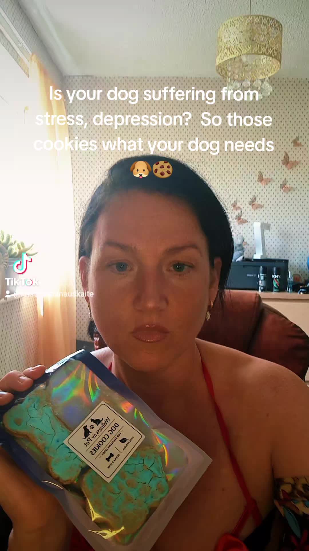 @Wellness for Pet
