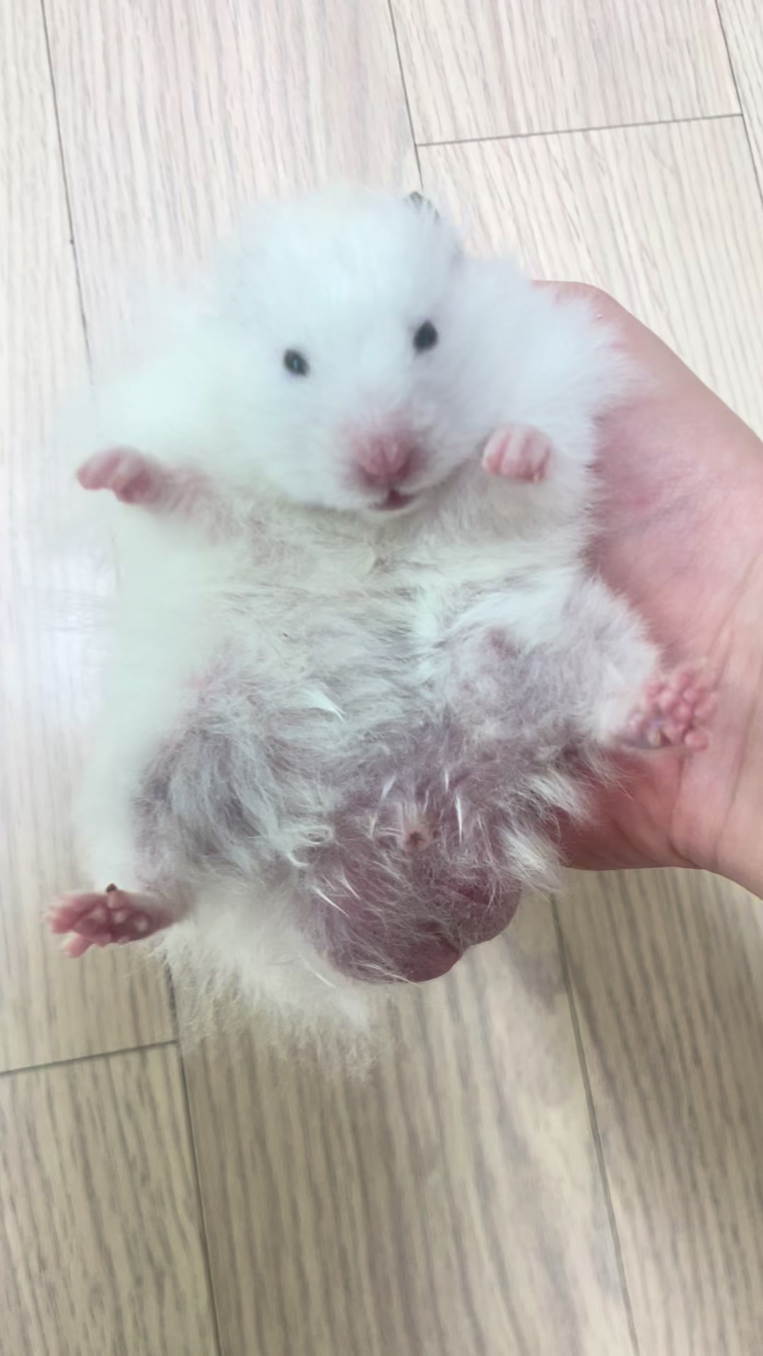 @mnk