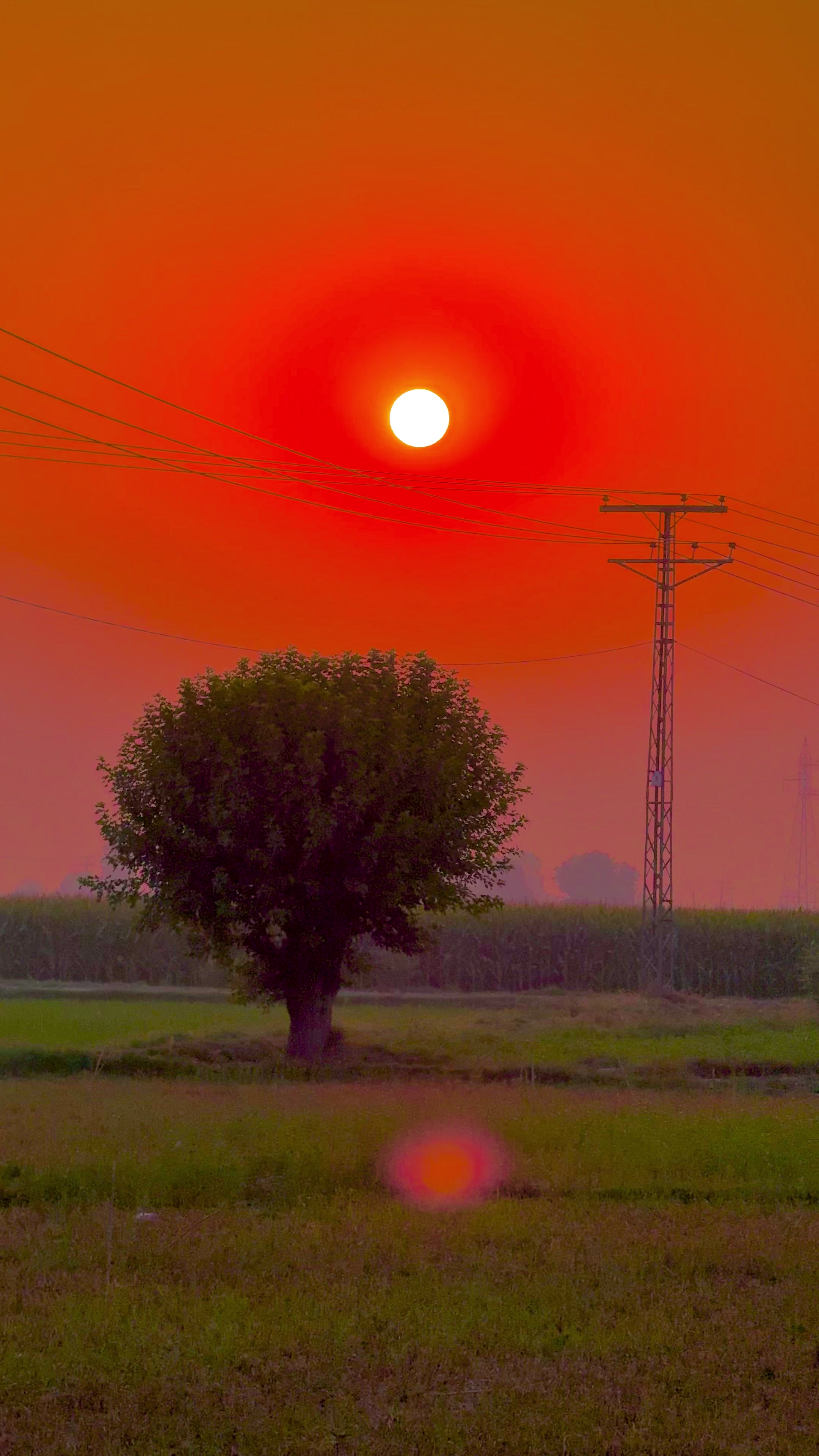 @ÜZÄÌŘ_ RÂJPÜT🦅