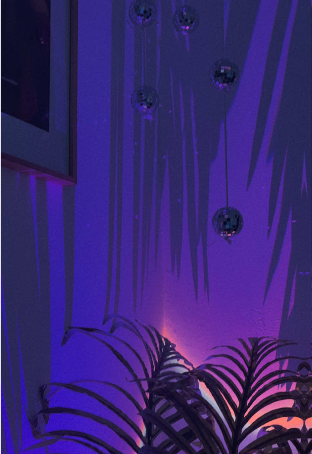 @Shannxn