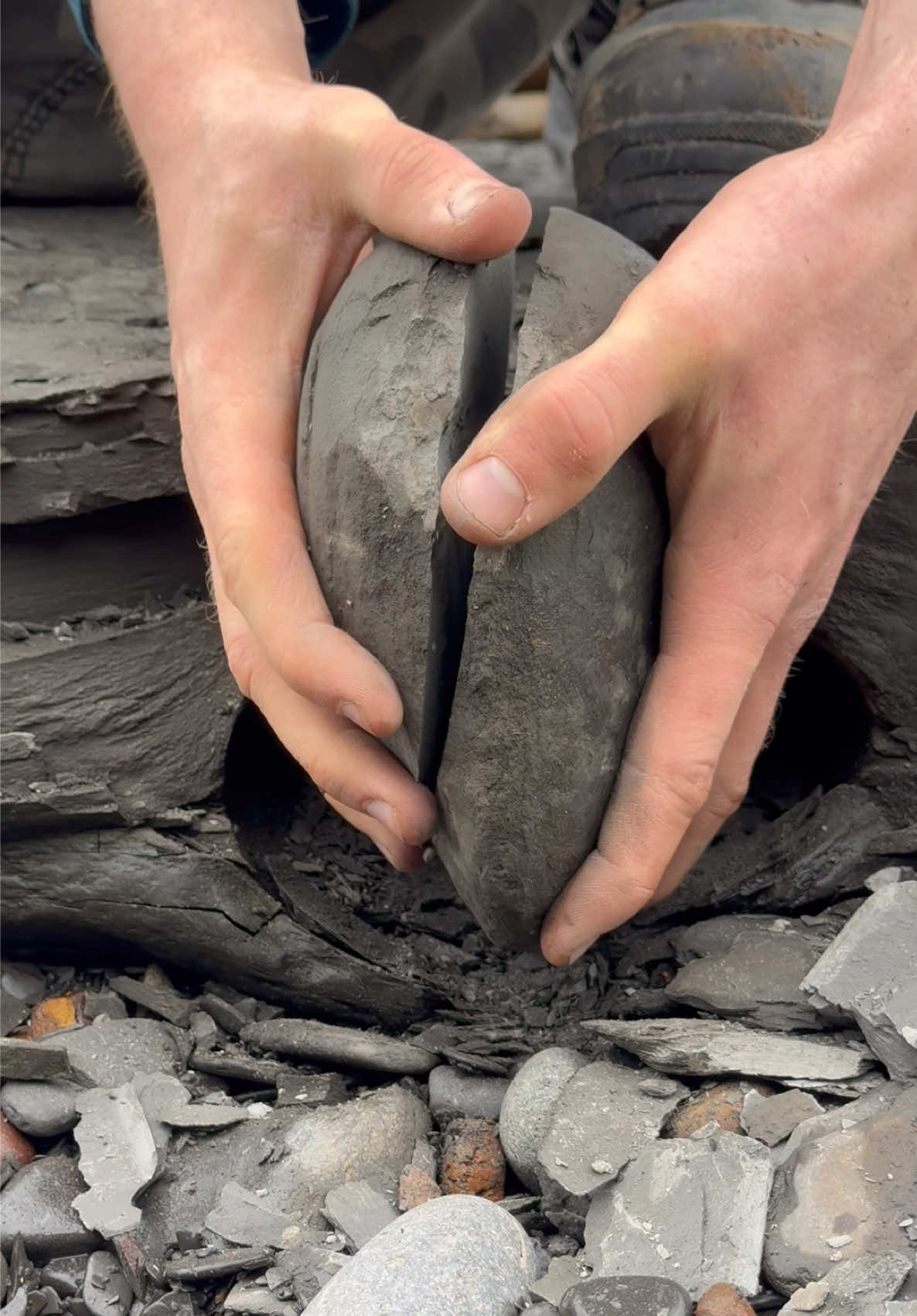 @yorkshire.fossils