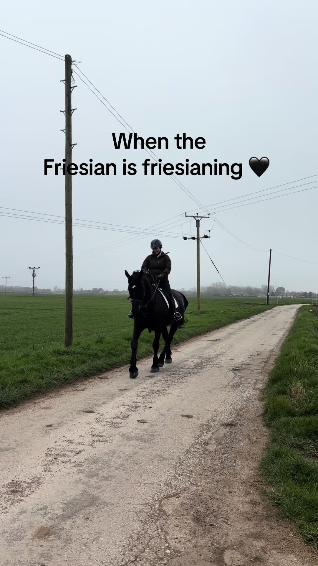@Peasburyfarmpup