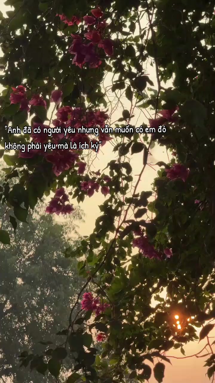 @An Hạ