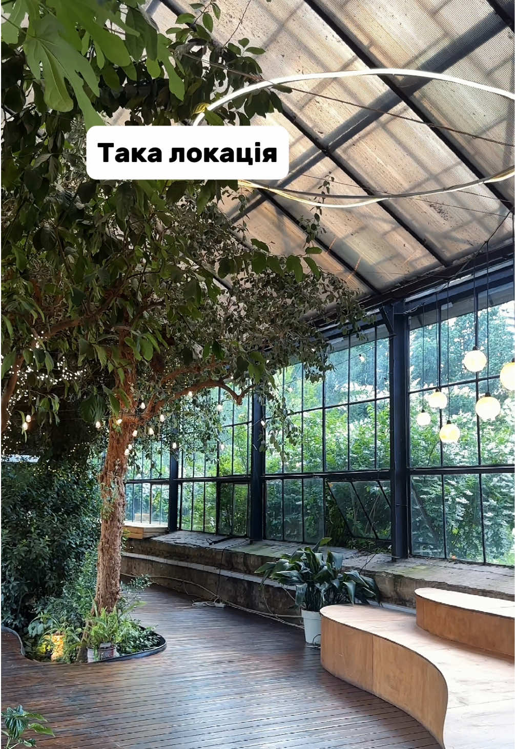 @zolota.photo