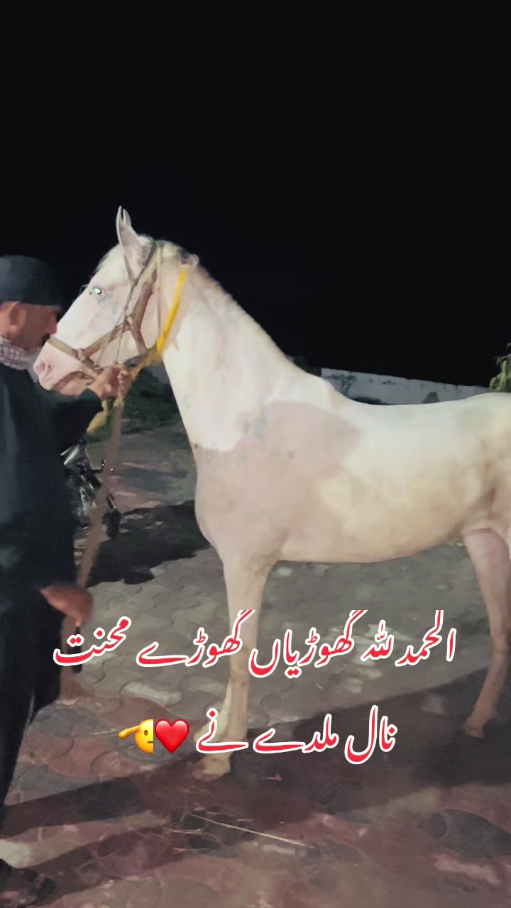 @رانا وقار اشرف 🐎